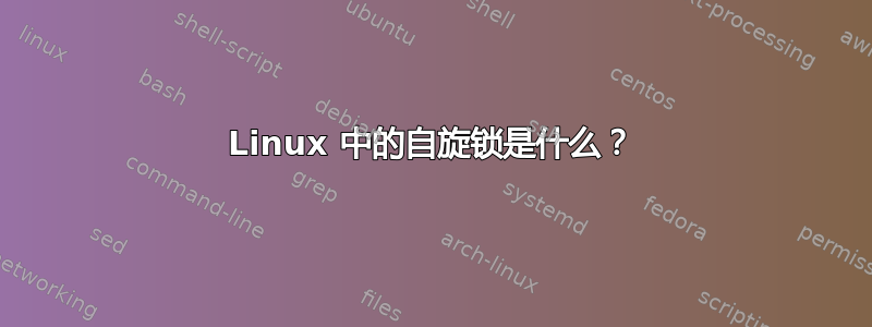 Linux 中的自旋锁是什么？