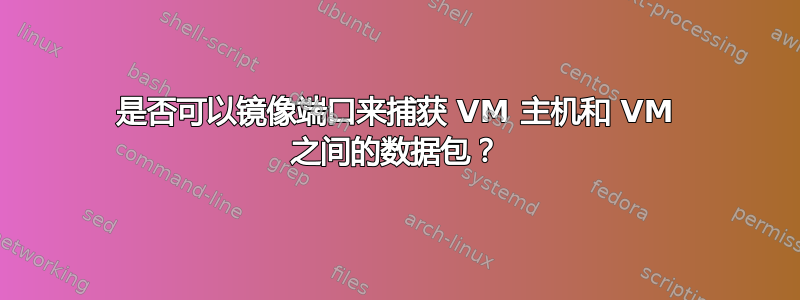 是否可以镜像端口来捕获 VM 主机和 VM 之间的数据包？