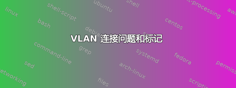 VLAN 连接问题和标记