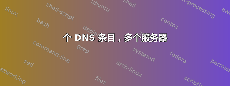 2 个 DNS 条目，多个服务器