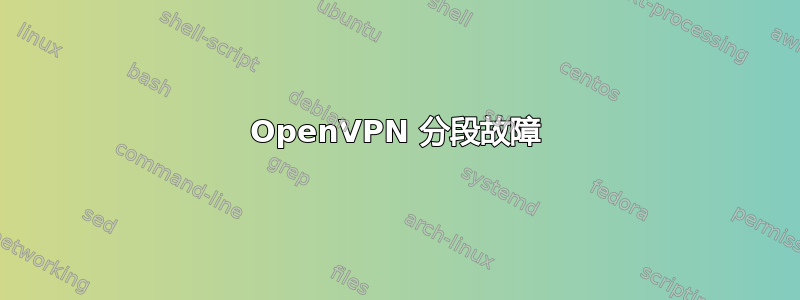 OpenVPN 分段故障