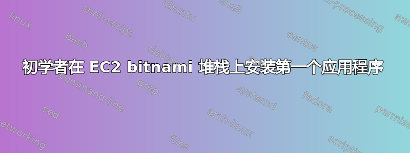 初学者在 EC2 bitnami 堆栈上安装第一个应用程序