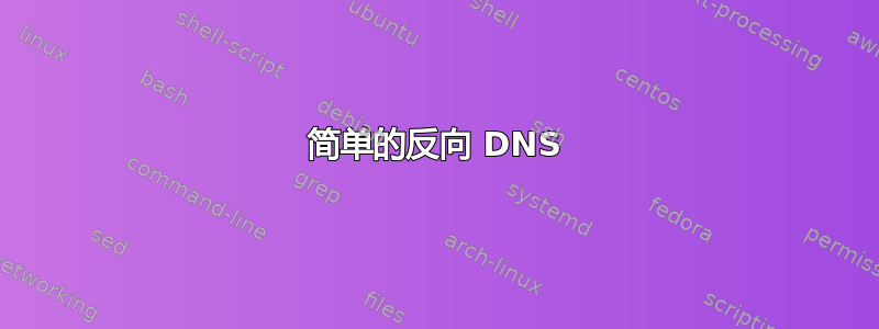 简单的反向 DNS