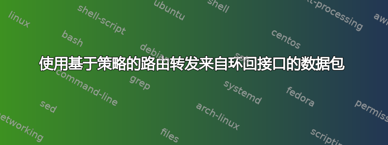 使用基于策略的路由转发来自环回接口的数据包