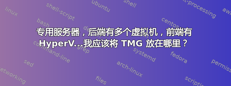 专用服务器，后端有多个虚拟机，前端有 HyperV...我应该将 TMG 放在哪里？