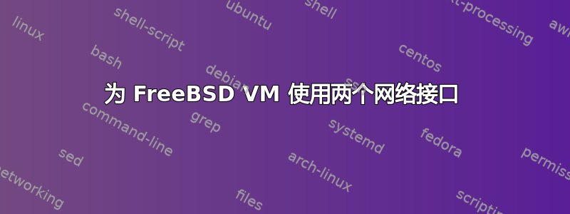 为 FreeBSD VM 使用两个网络接口