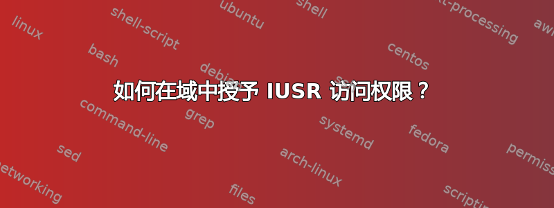 如何在域中授予 IUSR 访问权限？