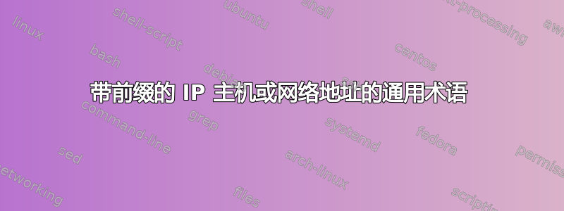 带前缀的 IP 主机或网络地址的通用术语