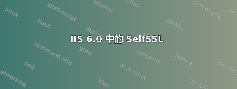 IIS 6.0 中的 SelfSSL