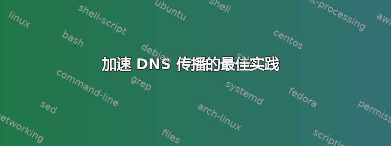 加速 DNS 传播的最佳实践 