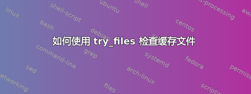 如何使用 try_files 检查缓存文件