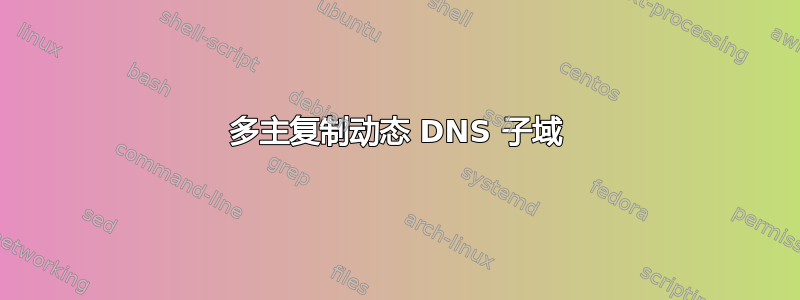 多主复制动态 DNS 子域