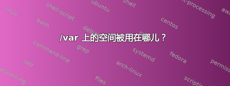 /var 上的空间被用在哪儿？