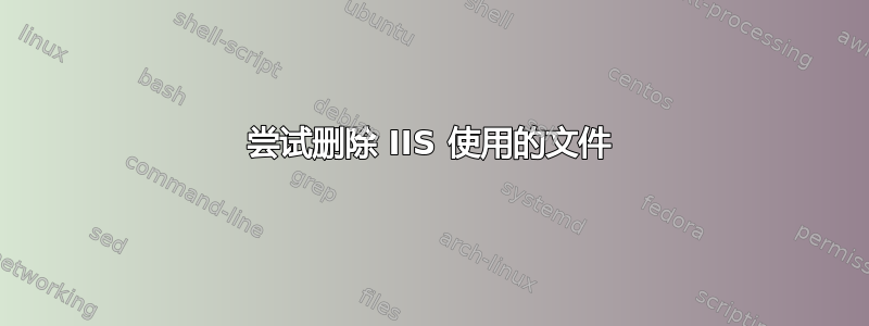 尝试删除 IIS 使用的文件