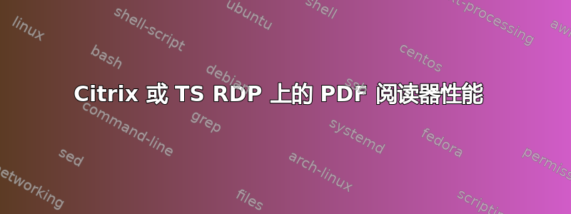 Citrix 或 TS RDP 上的 PDF 阅读器性能 