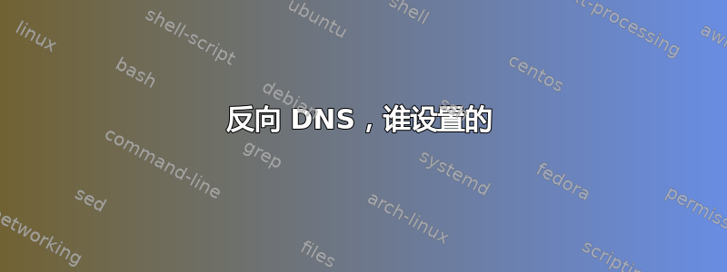 反向 DNS，谁设置的