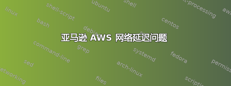 亚马逊 AWS 网络延迟问题