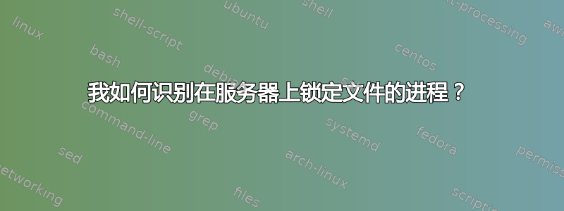 我如何识别在服务器上锁定文件的进程？