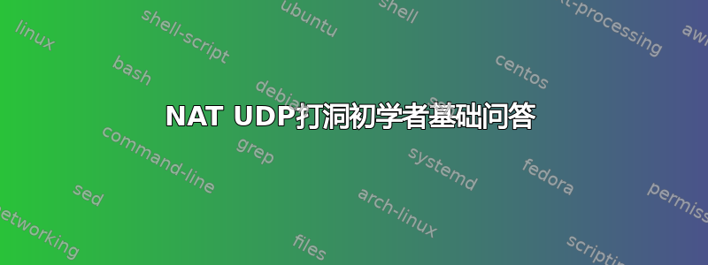 NAT UDP打洞初学者基础问答