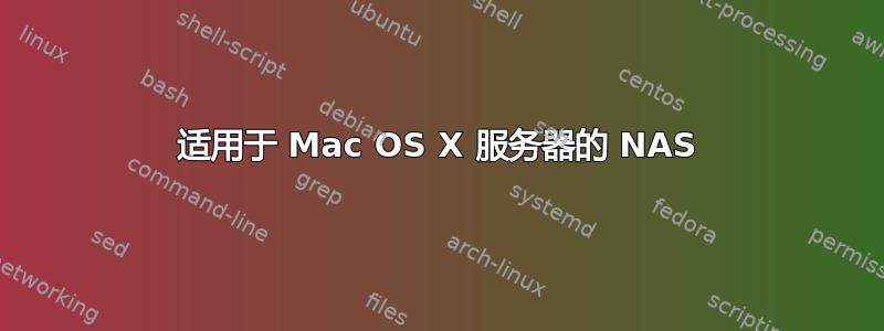 适用于 Mac OS X 服务器的 NAS