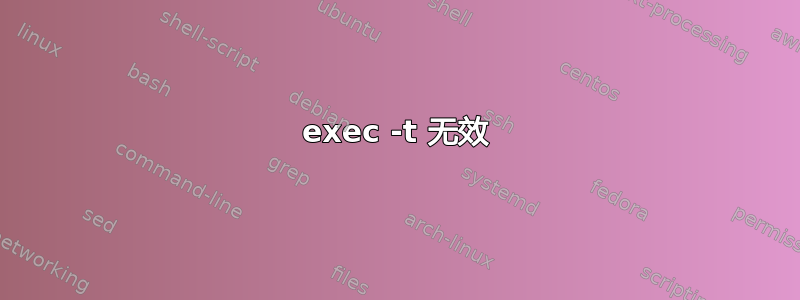 exec -t 无效