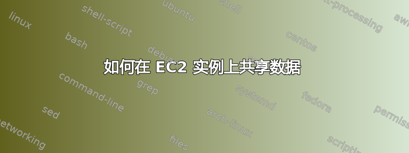 如何在 EC2 实例上共享数据