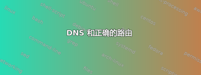 DNS 和正确的路由