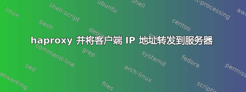 haproxy 并将客户端 IP 地址转发到服务器