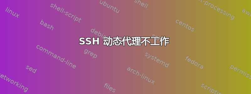 SSH 动态代理不工作