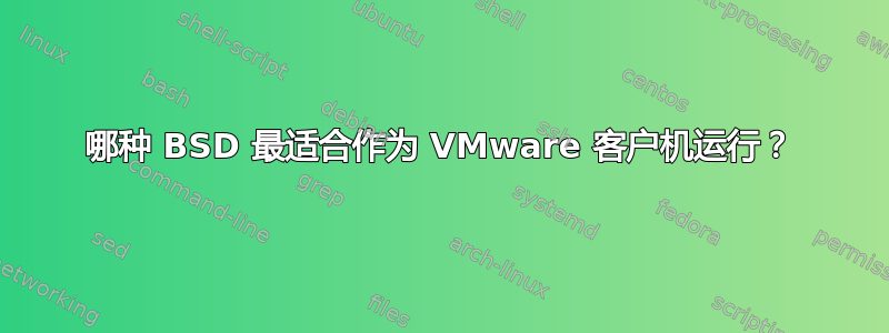 哪种 BSD 最适合作为 VMware 客户机运行？