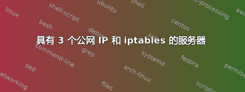 具有 3 个公网 IP 和 iptables 的服务器