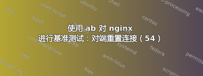 使用 ab 对 nginx 进行基准测试：对端重置连接（54）