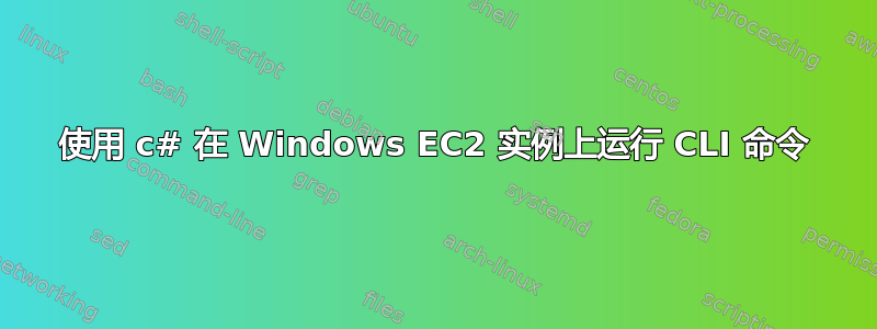 使用 c# 在 Windows EC2 实例上运行 CLI 命令