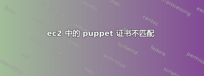 ec2 中的 puppet 证书不匹配