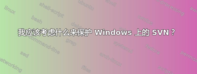 我应该考虑什么来保护 Windows 上的 SVN？