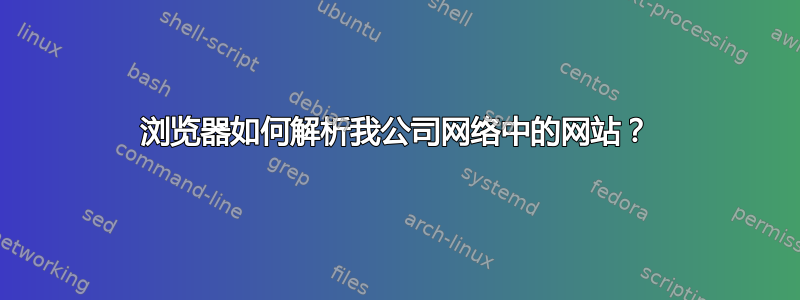 浏览器如何解析我公司网络中的网站？