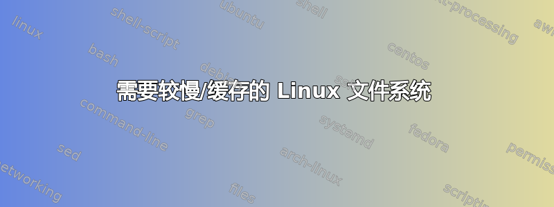 需要较慢/缓存的 Linux 文件系统