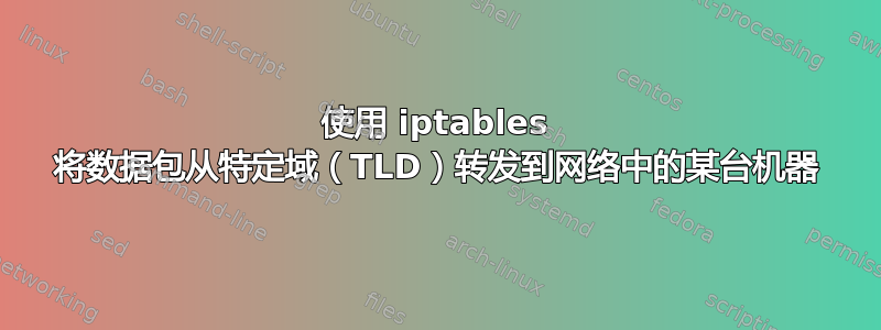 使用 iptables 将数据包从特定域（TLD）转发到网络中的某台机器