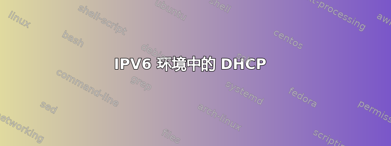 IPV6 环境中的 DHCP 