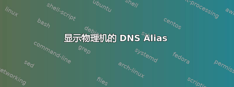 显示物理机的 DNS Alias