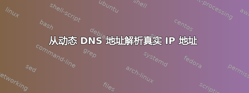 从动态 DNS 地址解析真实 IP 地址