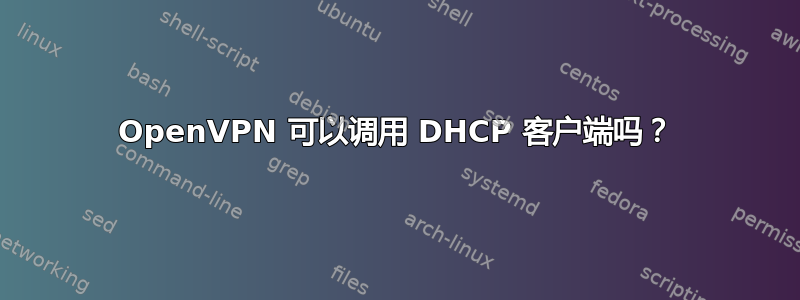 OpenVPN 可以调用 DHCP 客户端吗？