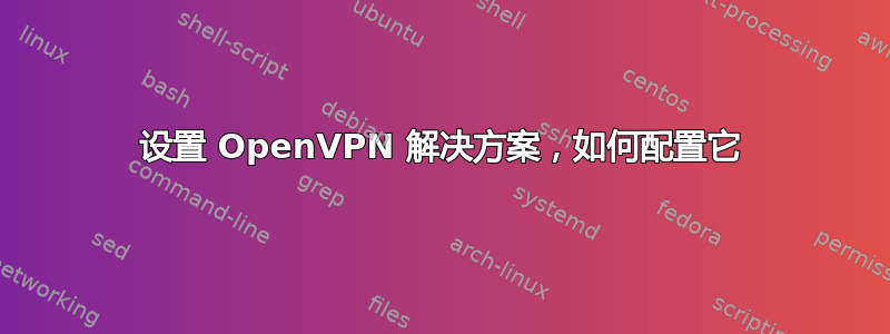 设置 OpenVPN 解决方案，如何配置它