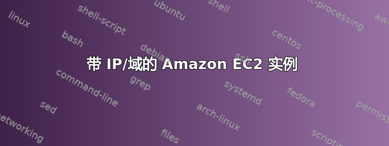 带 IP/域的 Amazon EC2 实例