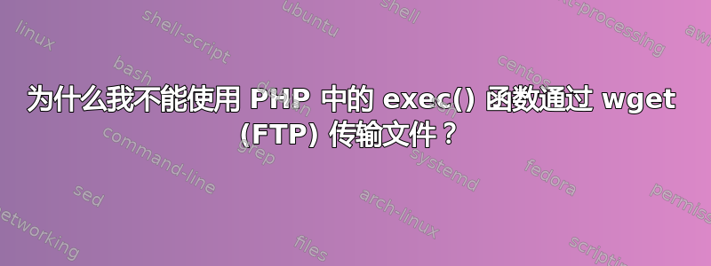 为什么我不能使用 PHP 中的 exec() 函数通过 wget (FTP) 传输文件？