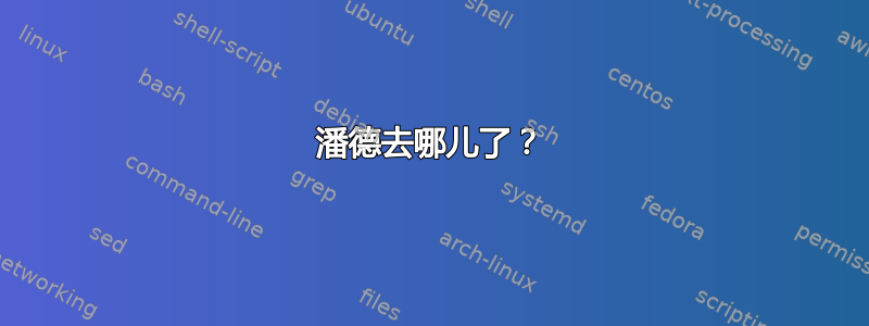 潘德去哪儿了？