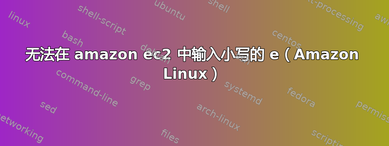 无法在 amazon ec2 中输入小写的 e（Amazon Linux）