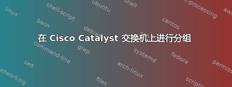 在 Cisco Catalyst 交换机上进行分组