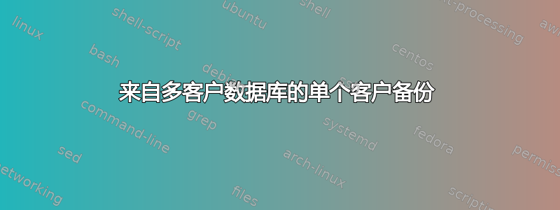 来自多客户数据库的单个客户备份