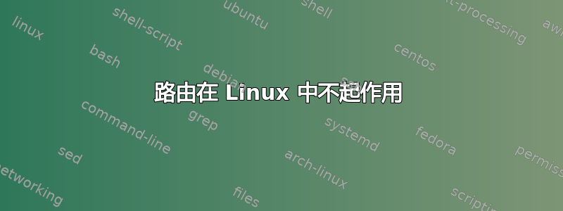 路由在 Linux 中不起作用